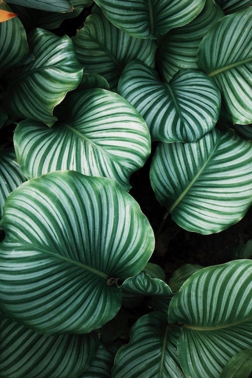 ren-ran-bBiuSdck8tU-unsplash
